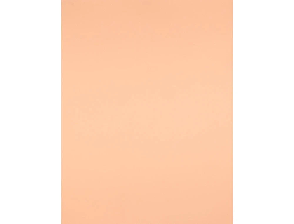 Cartolina 50x65 240gr sepia