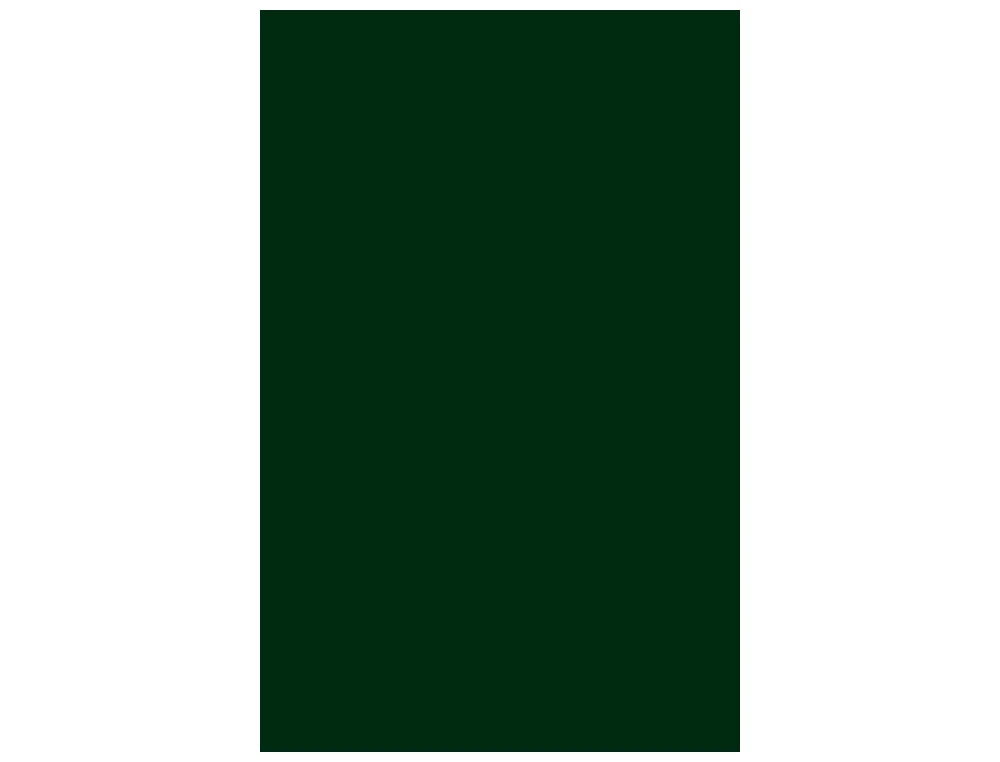 Cartolina A3 185gr pack 50fls verde escuro