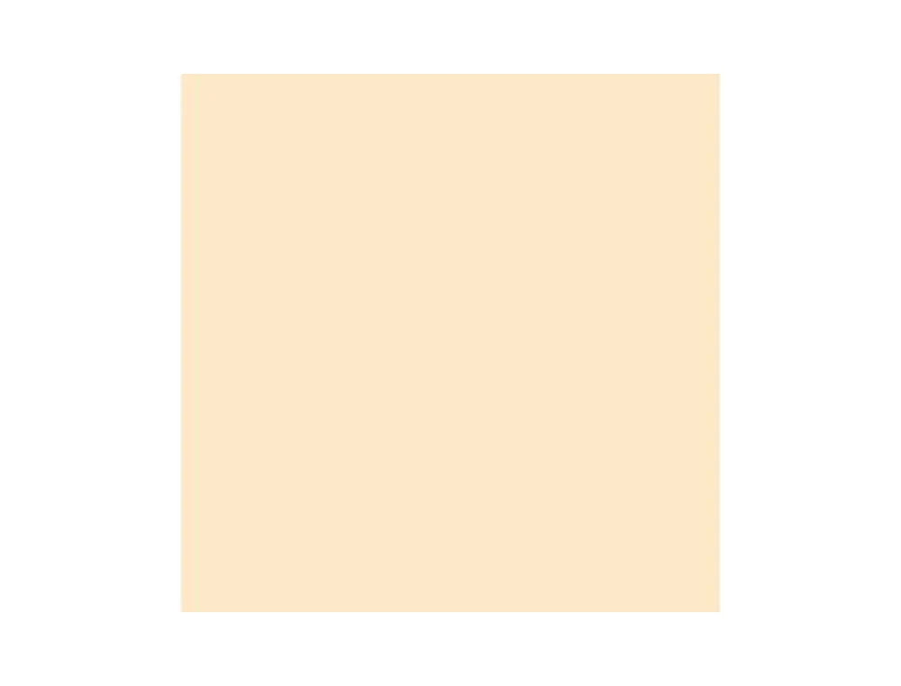 Cartolina 50x65 185gr carne