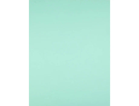 Cartolina 50x65 240gr verde