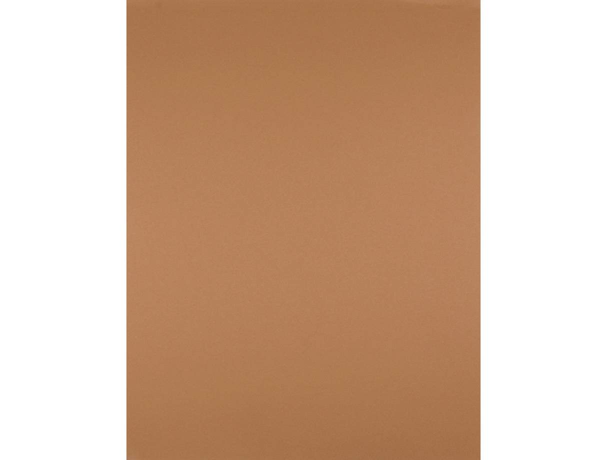 Cartolina 50x65 180gr castanho claro