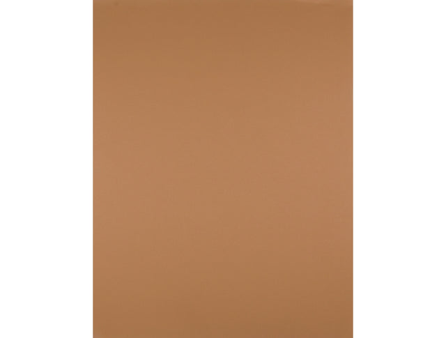 Cartolina 50x65 180gr castanho claro