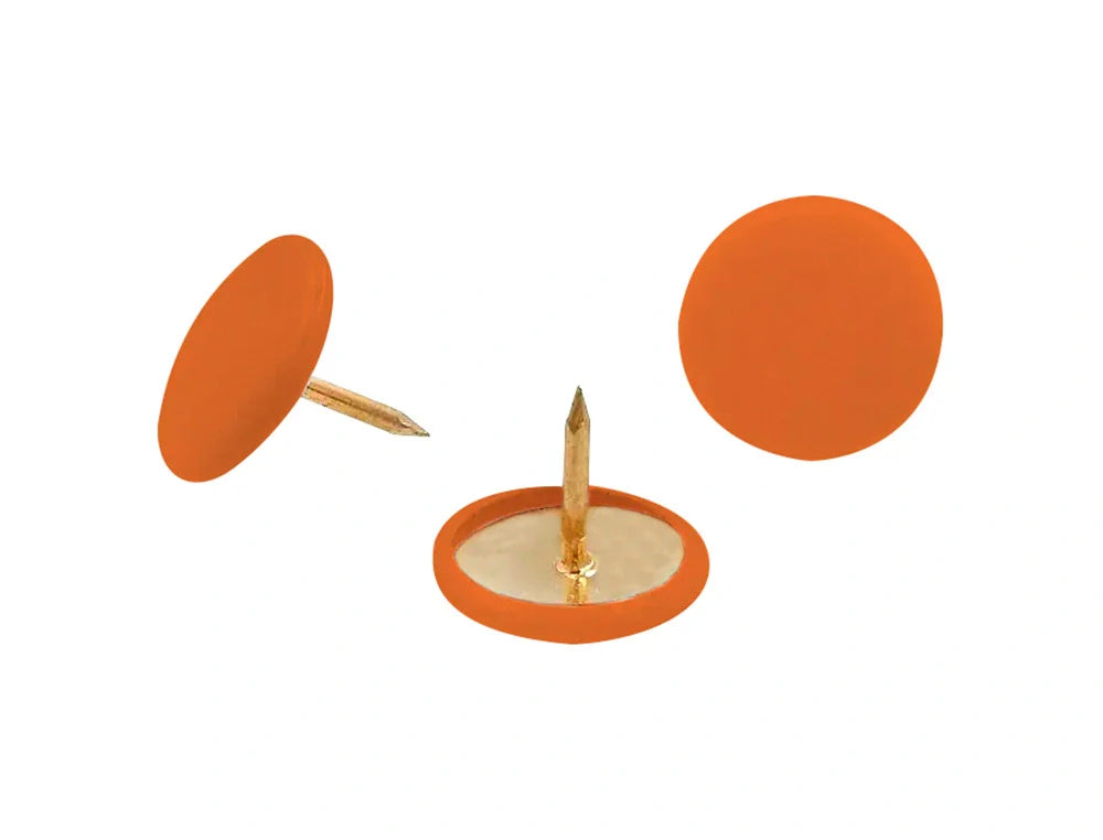 Pioneses Lismania revestidos a plástico cx100