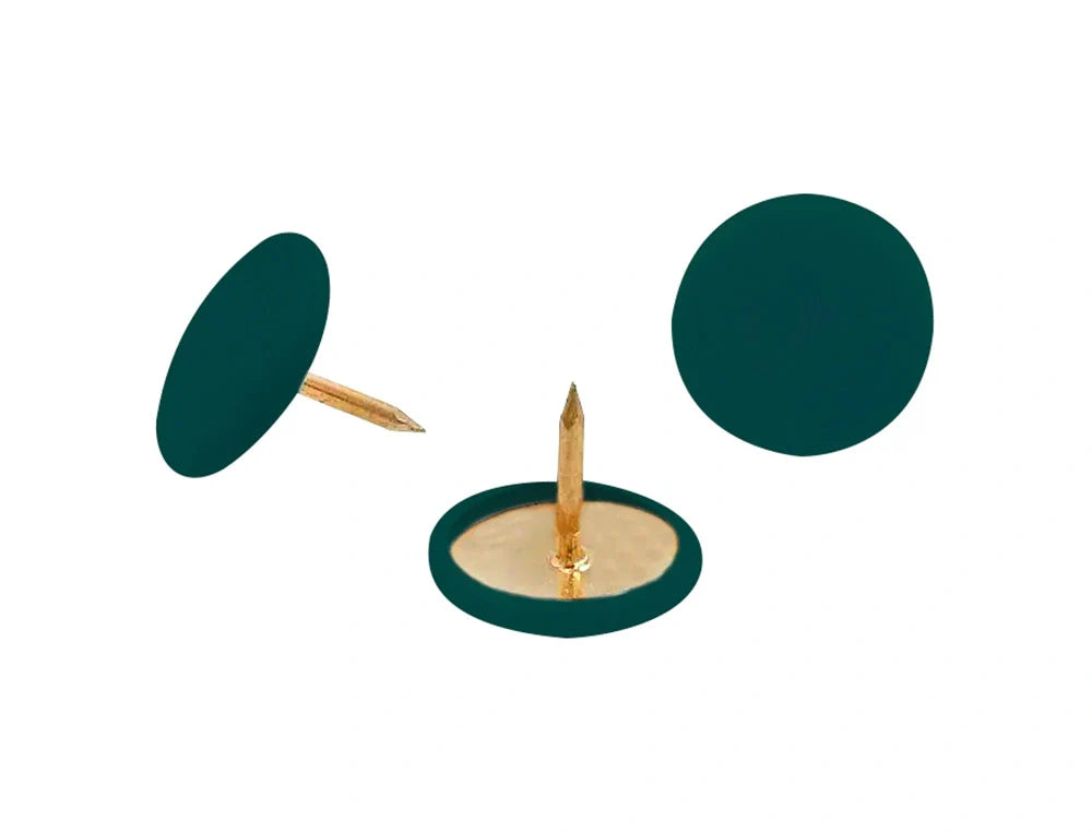 Pioneses Lismania revestidos a plástico cx100