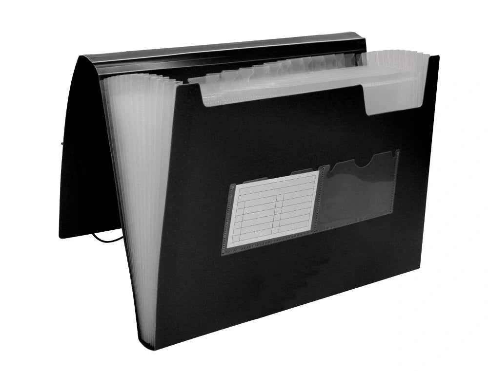 Pasta classificadora com fole elásticos e 13 divisórias A4